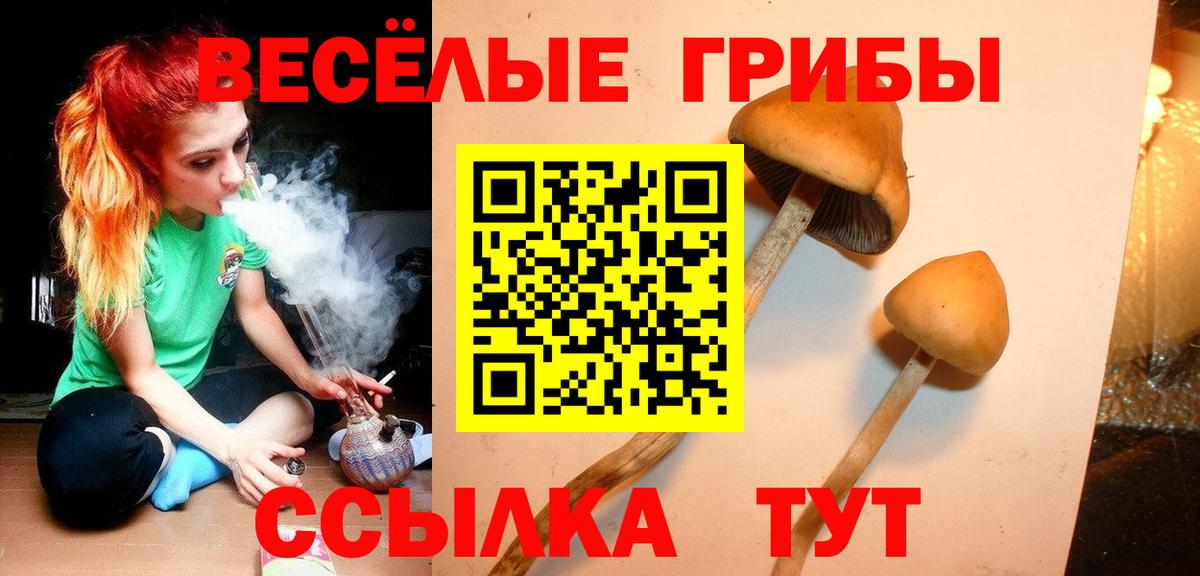 Галлюциногенные грибы ЛСД  Вход с VPN  Черногорск 